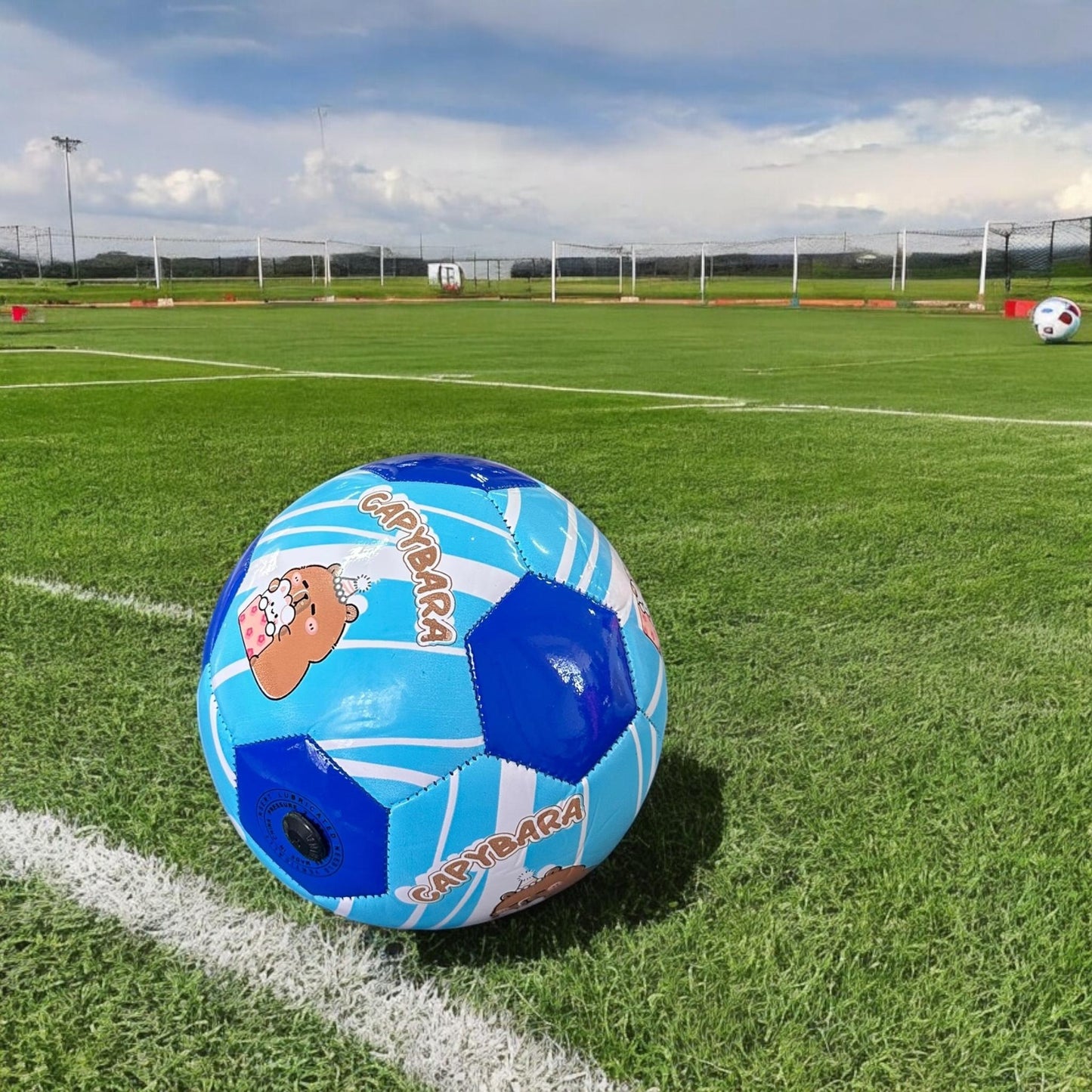 Balón Capibara Pequeño