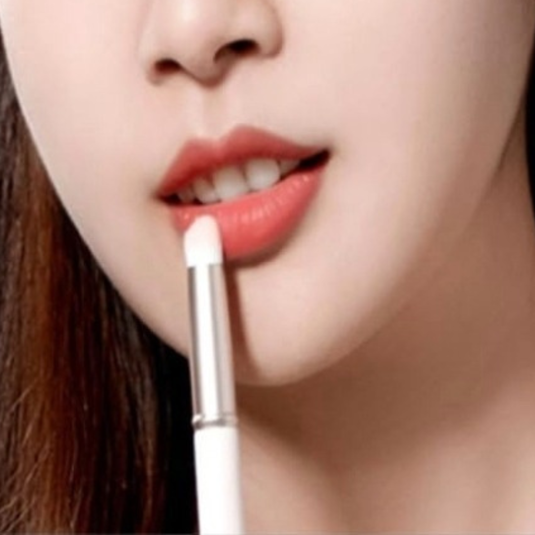 12 Brochas para sombras Portátil $6..50 c/u