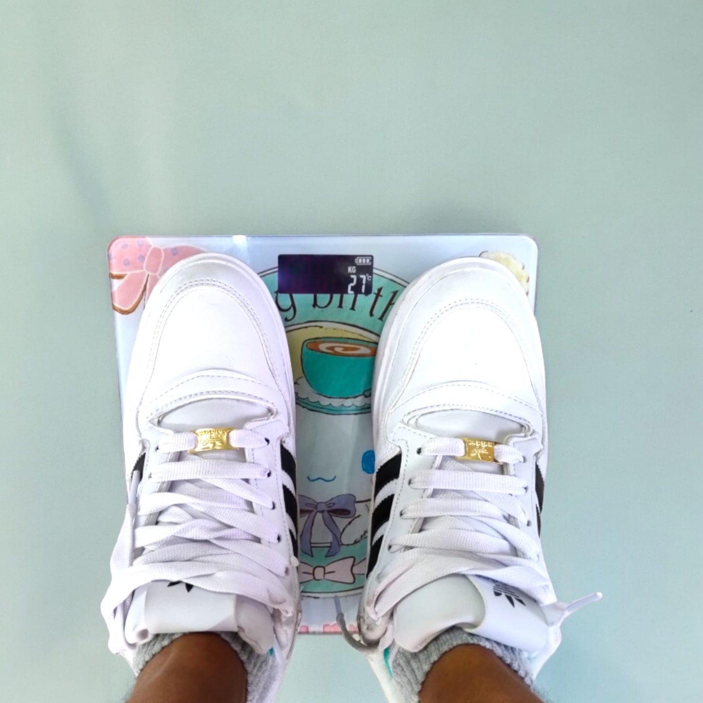 Balanza electronica Humana Cinamorroll