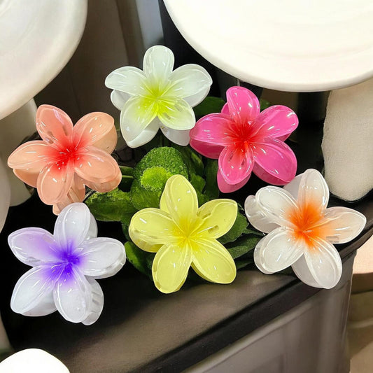 12 Pinzas Hawaiinas Clasicas Colores $9.8 c/u