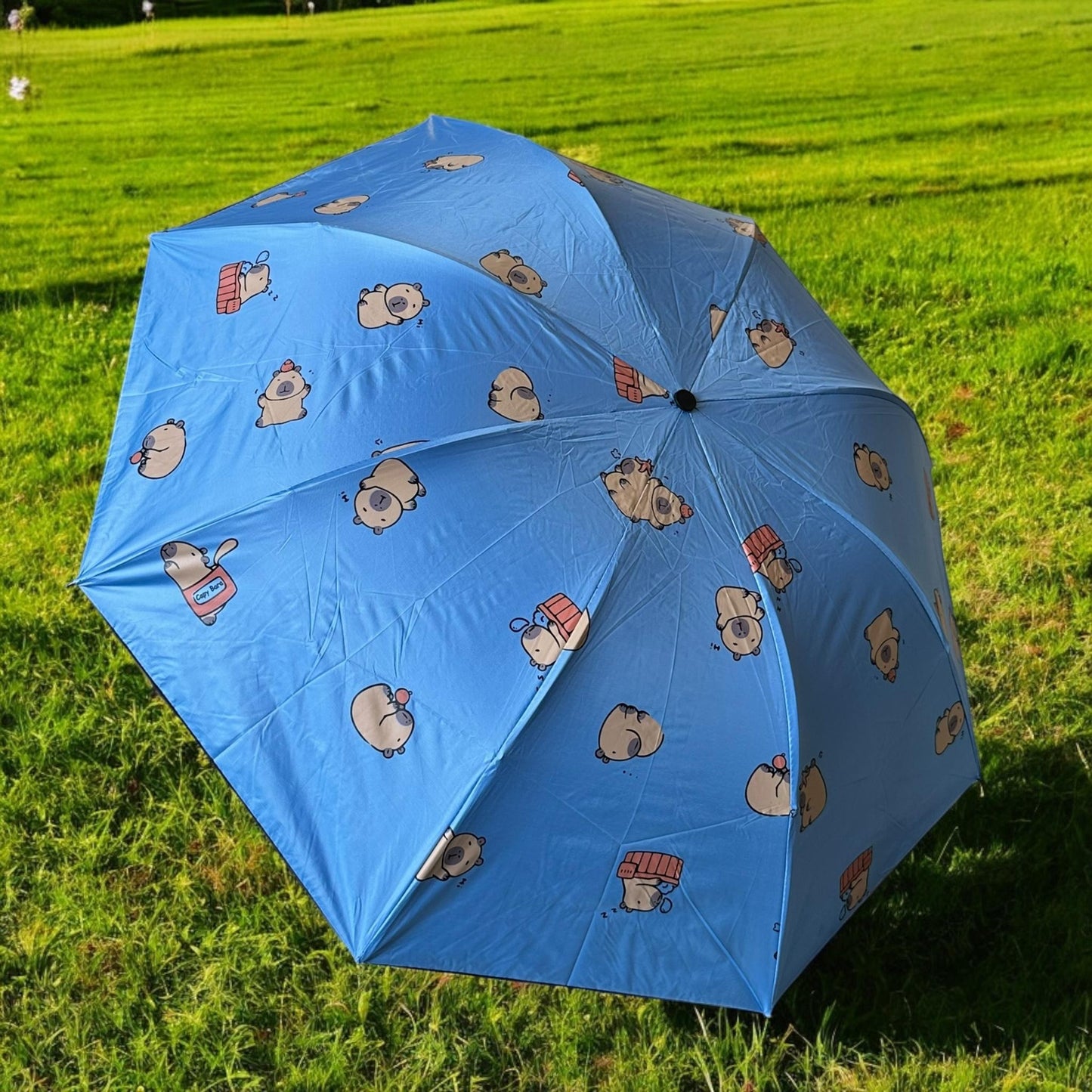 Sombrilla/Paraguas Capibaras Bolsillo