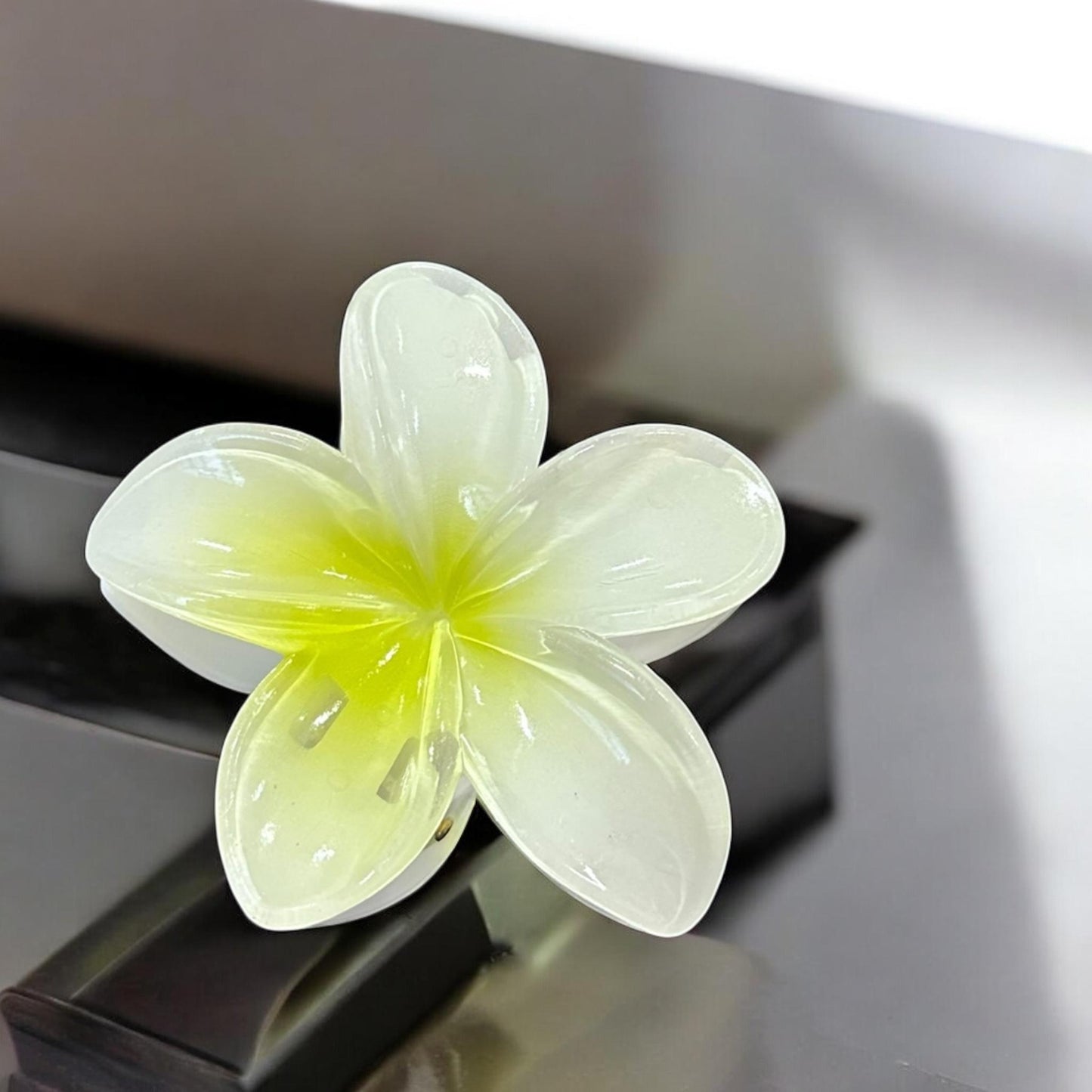 12 Pinzas Hawaiinas Clasicas Colores $9.8 c/u