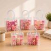 Bolsas de Plastico Transparente Con Diseños Chicas
